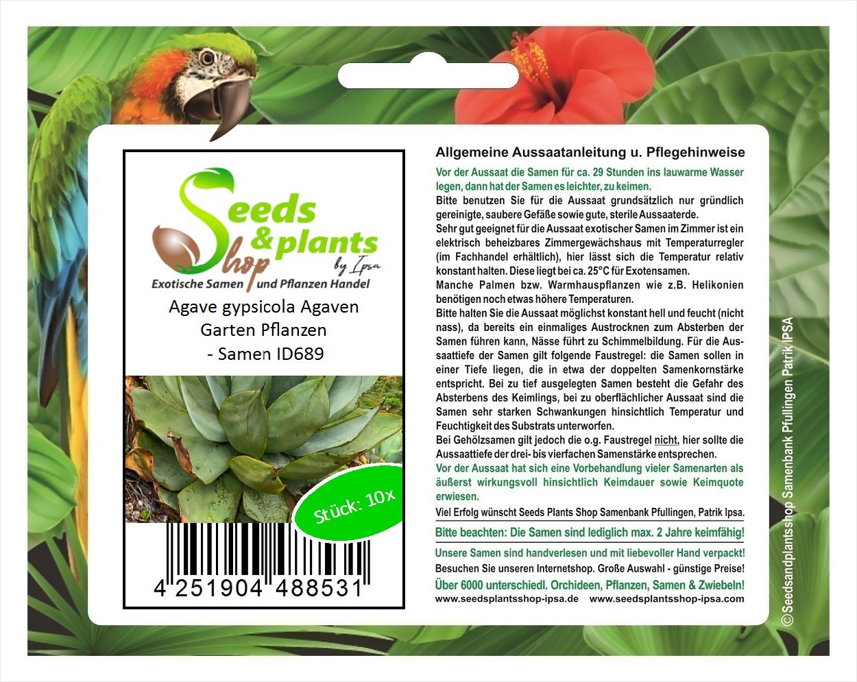 10x Agave gypsicola Agave Garden Plants - Seeds ID689