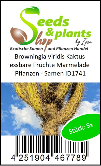 sansevieria cylindrica trockene spitzen Sansevieria Cylindrica Straight -Spaghetti VELVET TOUCHZ®- 15-20 cm  Bogenhanf Zimmerpflanze