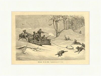 Wolfsjagd. Vor dem Schuß Holzstich Winter Pferdeschlitten Schnee Jäger E 1953