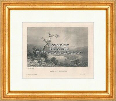 Der Susquehanna Stahlstich Pennsylvania Fluss Meyers Universum 0491 Gerahmt