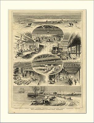 Liebig Fleischextrakt Fray Bentos Uruguay Holzstich L845