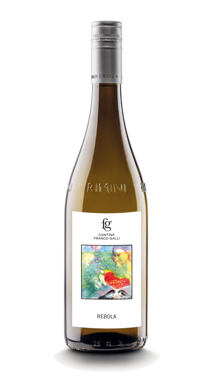 Rebola DOC trocken 13,5% Alkohol