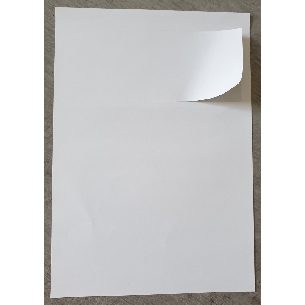 B250 1000 Blatt integrierte Etiketten auf Rechnungspapier A4 - Etikett 100x76mm