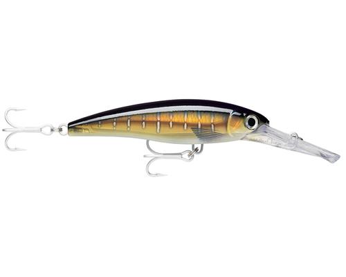 Rapala MAGNUM X-RAP Wobbler Tiefläufer Trolling Meeresangel Gr 10 15 20 30 40cm - Bild 18 von 35