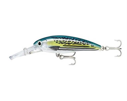 Rapala MAGNUM X-RAP Wobbler Tiefläufer Trolling Meeresangel Gr 10 15 20 30 40cm - Bild 22 von 35