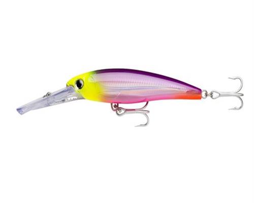 Rapala MAGNUM X-RAP Wobbler Tiefläufer Trolling Meeresangel Gr 10 15 20 30 40cm - Bild 24 von 35