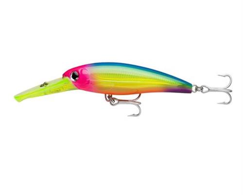 Rapala MAGNUM X-RAP Wobbler Tiefläufer Trolling Meeresangel Gr 10 15 20 30 40cm - Bild 25 von 35