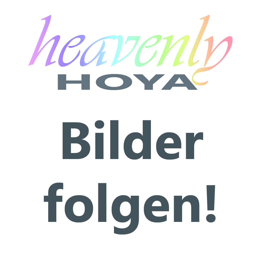 Bild 7 von 8