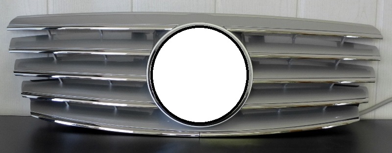 w210_neu_cl_silber03.JPG