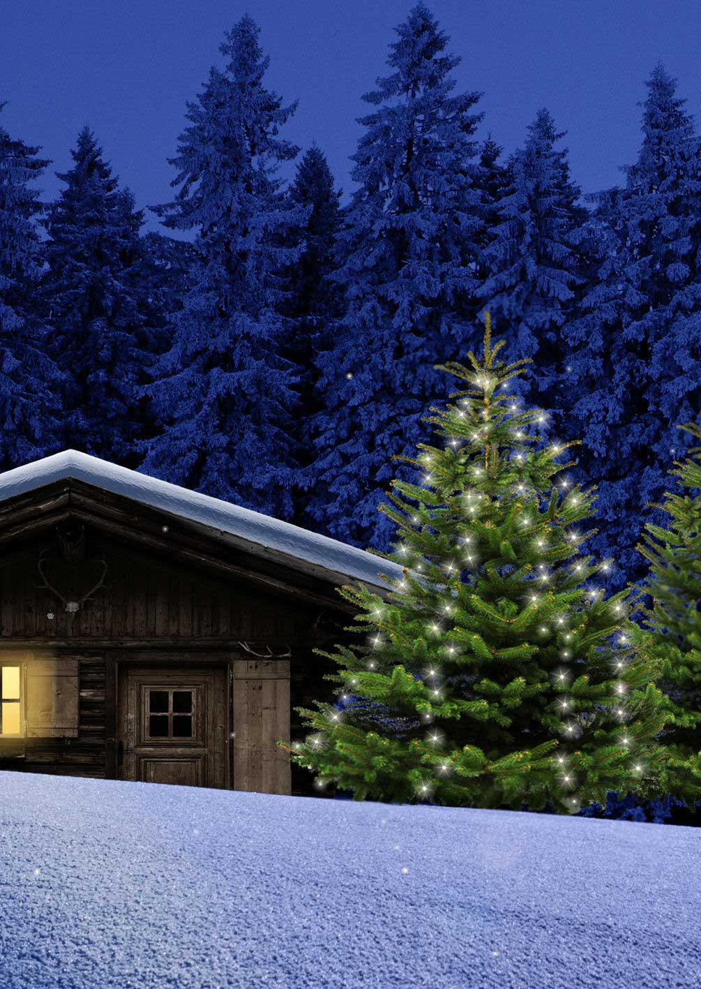 160 Baumvorhang warmweiß Weihnachtsbaum außen 31169 Lichterkette 6/18h Timer LED 2m