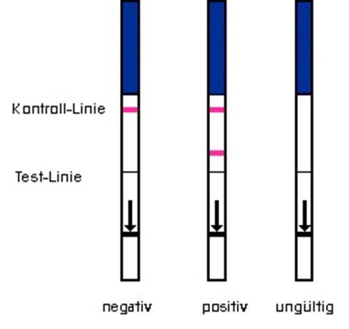 Negativ (nicht schwanger) Wenn nur eine pinkfarbene Linie im 