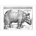 Dürer, Albrecht - Das Rhinozeros