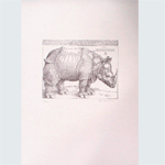 Dürer, Albrecht - Das Rhinozeros